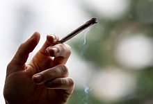 Cannabis - Fabian Sommer/dpa