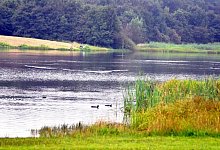 Nur noch die Enten drehten im See ihre Kreise - Foto: Hans-G&uuml;nther Meyer