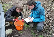 Kr&ouml;tenwanderung - Dieter Asbrock