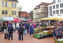 nic_1013b - Nicole Ellerbrake