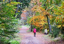Der Kammweg verl&auml;uft oben auf dem T&ouml;nsberg. Genutzt wird er von Wanderern und L&auml;ufern gleicherma&szlig;en. Er ist mittlerweile zu einem historischen Lehrpfad ausgebaut worden. - Martin D&uuml;sterberg