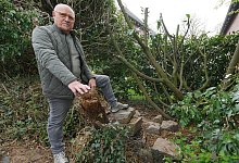 p1390703 - 1 - Jost Wolf