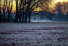Morgens in K&ouml;ln - Thomas Banneyer/dpa