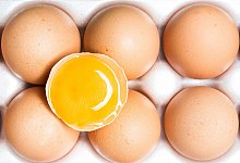 Eier liegen in einem Karton - Franziska Gabbert/dpa-tmn