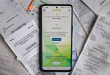 «MeinElster+» - Laura Ludwig/dpa-tmn