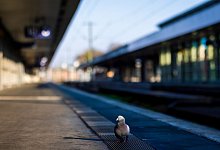 Warnstreiks im Schienenverkehr - Moritz Frankenberg/dpa