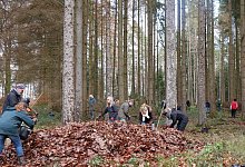 Umwelttag Stadtwalderneuerung - Stadt Lemgo