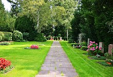 Friedhof - pia-pictures - stock.adobe.com