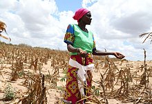 D&uuml;rre in Afrika - Foto: Dong Jianghui/XinHua/dpa