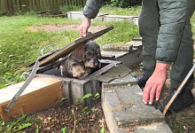 Training - Vera Gerstendorf-Welle