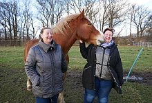 p1040087 - Sonja Vollmer