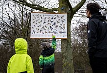 Aufruf zum Vogelz&auml;hlen - Christophe Gateau/dpa