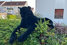 250811tierinlagepolizeilippe - 1 - Polizei Lippe