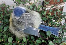 img-20250114-wa0000 - 1 - Margret Grunwald