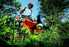 Gartenarbeit - Symbolfoto: Pixabay