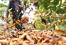 Laubbläser - Foto: Ralf Hirschberger/dpa-Zentralbild/dpa-tmn