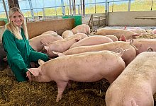 franziska-elmerhaus-ringelschwanz-schweinestall - Tönnies Lebensmittel