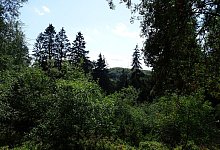 B&auml;renstein - Biologische Station Lippe