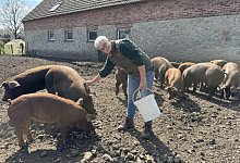 Brandings Hof - Sandra Castrup