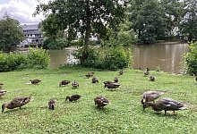 hbm-seekurpark-1 - Cordula Gröne