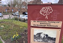 Nelkenkampagne - Seda Hagemann