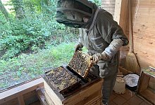 Imkerin - Lippe Tourismus & Marketing GmbH