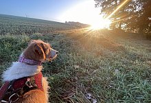 Herbst in Lippe - Silke Buhrmester