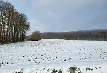 1000216928 - Silke Buhrmester