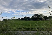 hbm-windrader-veldrom-feldrom-6 - Cordula Gr&ouml;ne