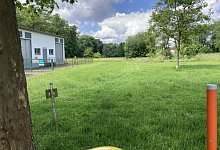 Standort Grundschule Bad Meinberg - Cordula Gröne