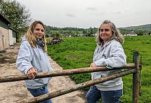 4-Hufe-Hof - Burkhard Battran