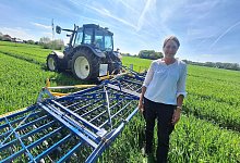 dreymann3 - Peter Heidbrink