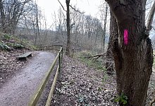 Philosophenweg in Blomberg - Seda Hagemann