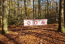foto_wald_sperrung_banner - Stadt Lemgo