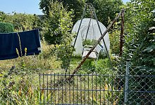 Nachbarn beschweren sich an der Tecklenburger Straße 35 über Bewohner und Cannabisanbau - Robert Becker