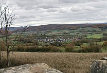 Blick vom Windmühlenstumpf - Sylvia Frevert