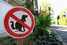 Koten verboten - Yvonne Glandien