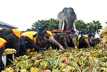 Thailand - Rachen Sageamsak/XinHua/dpa