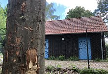 Tatort Liemer Abwasserpumpwerk - Till Brand