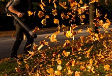 Ein Mann mit Laubbl&auml;ser auf einem Gehweg - Foto: Daniel Bockwoldt/dpa/dpa-tmn