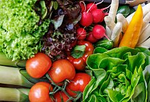 Bürgerrat «Ernährung im Wandel» - Daniel Karmann/dpa