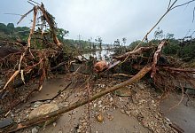 &Uuml;berschwemmungen in Texas - Julio Cortez/AP/dpa