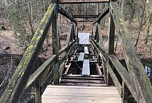 Hasselbachteich - Martin Hostert