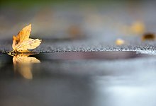 Wetter in Baden-Württemberg - Thomas Warnack/dpa