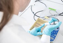 Laborantin beim Testen - Sebastian Gollnow/dpa/dpa-tmn