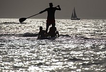 Stand-up-Paddling an der Ostsee - Foto: Jens B&uuml;ttner/dpa-Zentralbild/dpa-tmn