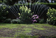 Rasensprenger - Foto: Ina Fassbender/dpa-tmn