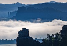 Nebel in Sachsen - Robert Michael/dpa