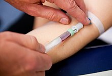 Bluttest - Foto: Bernd Thissen