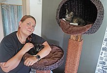 miw Katze (1) - Michaela Wei&szlig;e